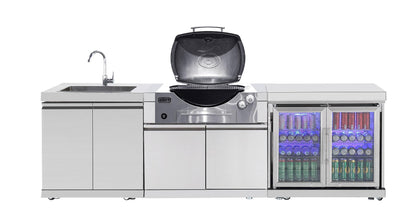 test rey 1 304 Stainless Steel BBQ Cabinet Module Suit Weber Family Q Built In Premium Gas BBQ (Q3600) - Outdoor Kitchen