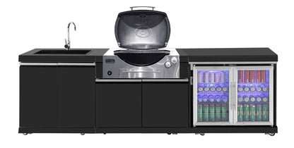 test rey 1 Black Stainless Steel BBQ Cabinet Module Suit Weber Family Q Built In Premium Gas BBQ (Q3600) - Outdoor Kitchen