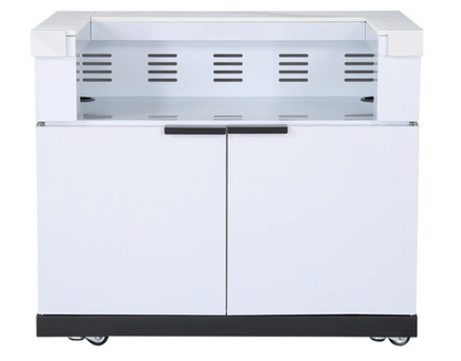 test rey 1 BBQ Cabinet Module Suit Weber Family Q Built In Premium Gas BBQ (Q3600) - Outdoor Kitchen (BBQ MODULE ONLY)